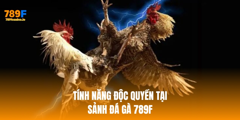 Tính năng độc quyền tại sảnh đá gà 789f