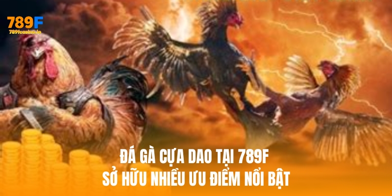 Đá gà cựa dao – Trò chơi truyền thống đỉnh cao tại 789F Đá gà cựa dao – Trò chơi truyền thống đỉnh cao tại 789F