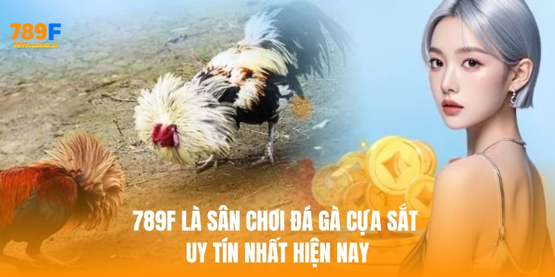 Đá Gà Cựa Sắt: Trải Nghiệm Cá Cược Đỉnh Cao Tại 789F 789F là sân chơi đá gà cựa sắt uy tín nhất hiện nay