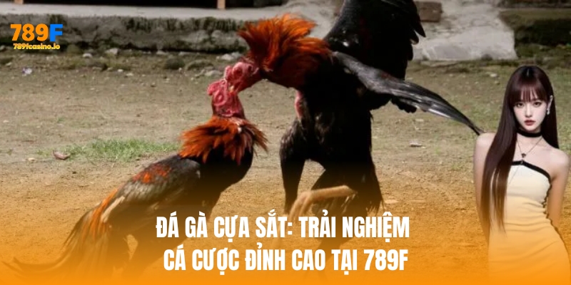 Đá Gà Cựa Sắt: Trải Nghiệm Cá Cược Đỉnh Cao Tại 789F Đá Gà Cựa Sắt: Trải Nghiệm Cá Cược Đỉnh Cao Tại 789F