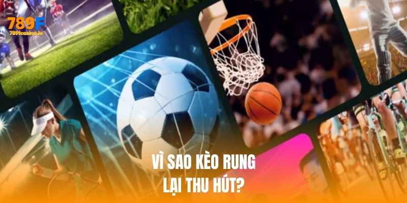 5 lý do khiến kèo rung là lựa chọn số 1 tại Thể thao 789F Vì sao kèo rung lại thu hút người chơi?