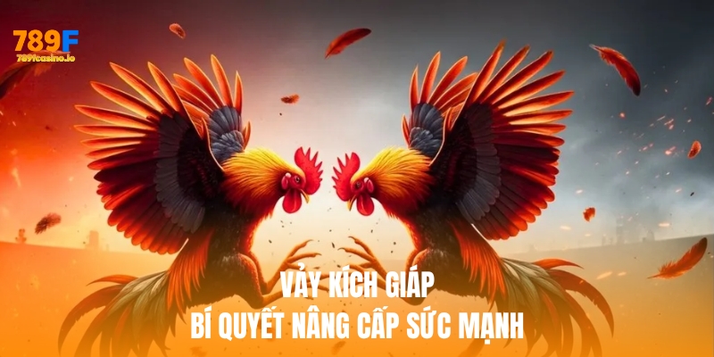 Vảy kích giáp – Bí quyết nâng cấp sức mạnh và phòng thủ tối ưu Vảy kích giáp – Bí quyết nâng cấp sức mạnh, phòng thủ tối ưu